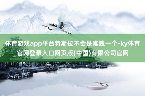 体育游戏app平台特斯拉不会是唯独一个-ky体育官网登录入口网页版(中国)有限公司官网