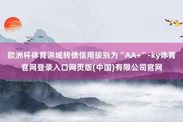 欧洲杯体育洪城转债信用级别为“AA+”-ky体育官网登录入口网页版(中国)有限公司官网