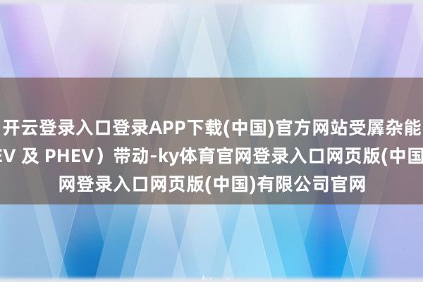 开云登录入口登录APP下载(中国)官方网站受羼杂能源车种（含 HEV 及 PHEV）带动-ky体育官网登录入口网页版(中国)有限公司官网