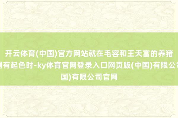 开云体育(中国)官方网站就在毛容和王天富的养猪业绩刚有起色时-ky体育官网登录入口网页版(中国)有限公司官网