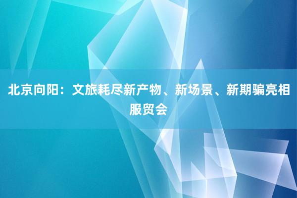 北京向阳：文旅耗尽新产物、新场景、新期骗亮相服贸会