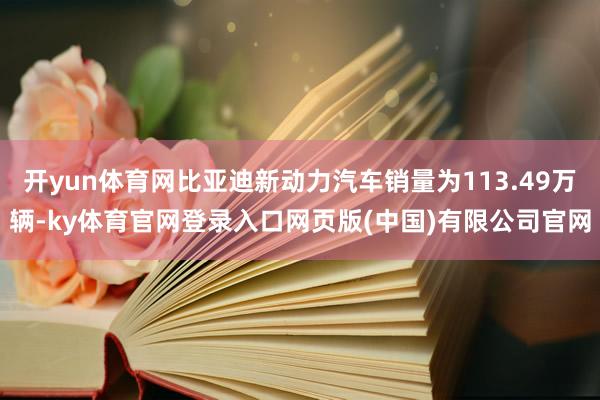 开yun体育网比亚迪新动力汽车销量为113.49万辆-ky体育官网登录入口网页版(中国)有限公司官网